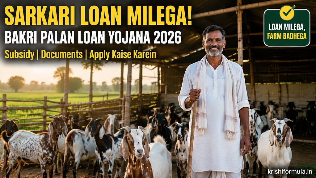 Bakri palan loan yojana 2026 sarkari loan aur subsidy - kisan bakriyon ke saath
